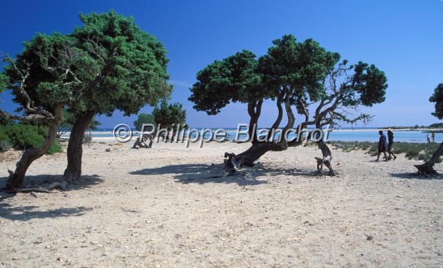 crete 17.JPG - Plage d'Elafonisi (Côte sud-ouest)Crète